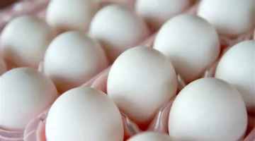 انخفاض أسعار البيض يعيد الاستقرار إلى سوق الطعام بعد موجة ارتفاعات متتالية